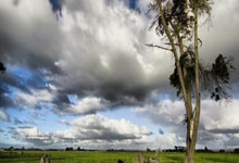 贝尔温复出，热刺焕发新生：告别低谷，剑指巅峰！