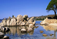 跌宕绿茵：一场失利，心之所向，永不止步