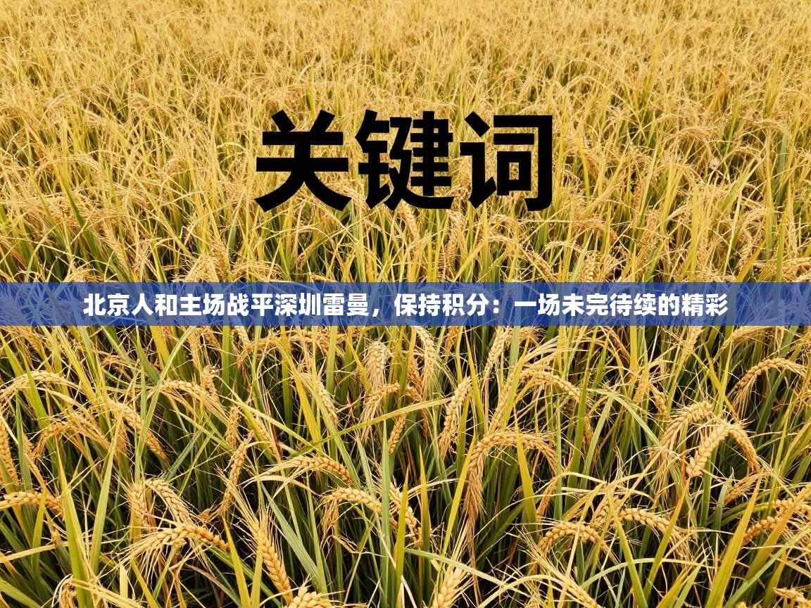 北京人和主场战平深圳雷曼，保持积分：一场未完待续的精彩  第2张